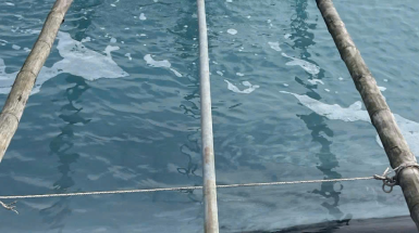 Motor giảm tốc cho quạt oxy hồ tôm chính hãng giá tốt tại Thiên Hổ