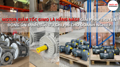 Motor giảm tốc GIMO là hãng nào? Giải pháp truyền động ổn định, tối ưu chi phí cho doanh nghiệp