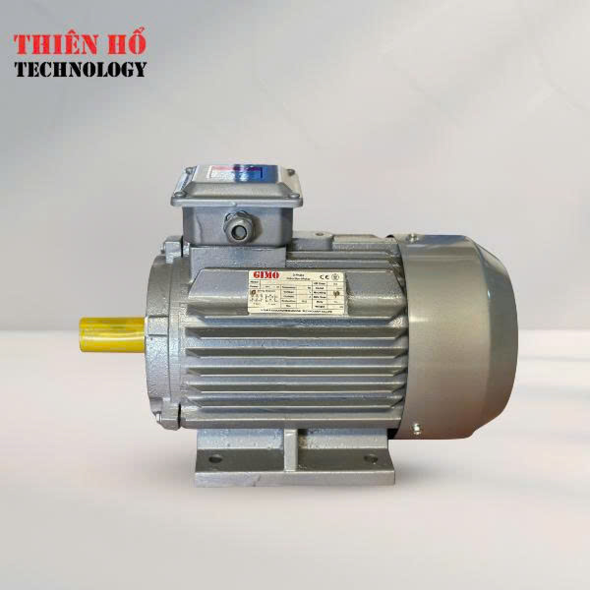 MÔ TƠ ĐIỆN 3 PHA 30KW GYE3-200L-4