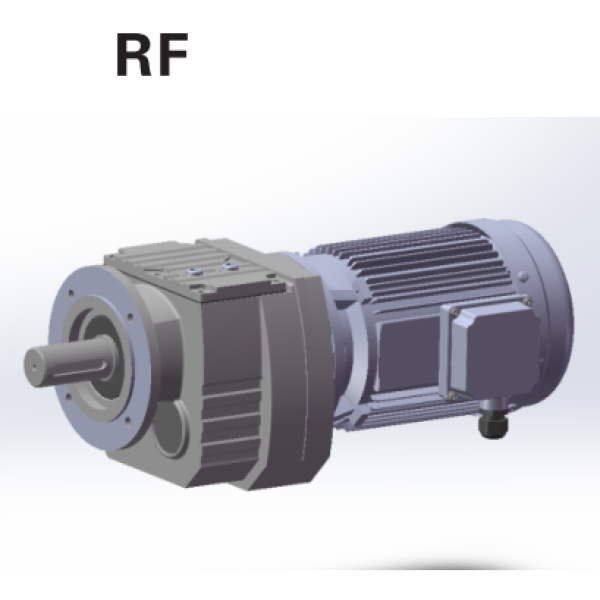 MOTOR GIẢM TỐC TẢI NẶNG TRỤC THẲNG CỐT DƯƠNG - R SERIES
