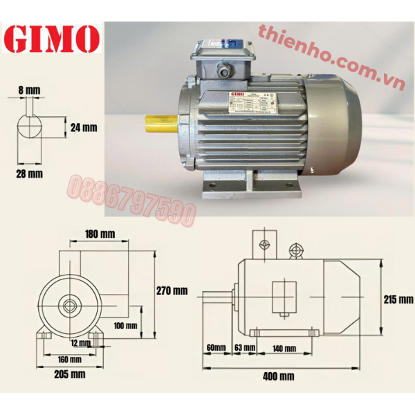 MÔ TƠ ĐIỆN 3 PHA 3KW GYE3-100L-2