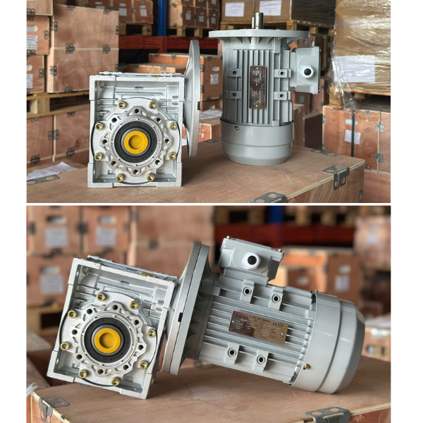 MOTOR GIẢM TỐC NMRV063-5-80B5